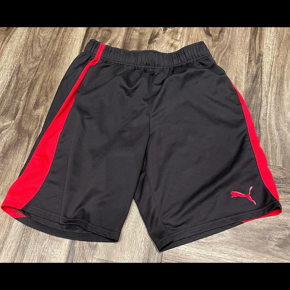Large Puma gym shorts. Worn once. No issues